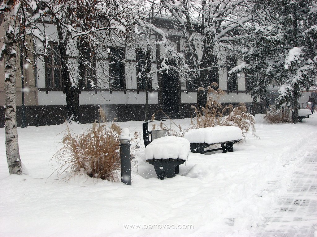 Obrázok